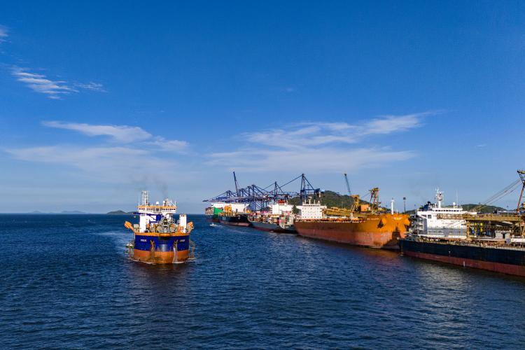 Com novo sistema da Celepar, Portos do Paraná moderniza credenciamento em Paranaguá